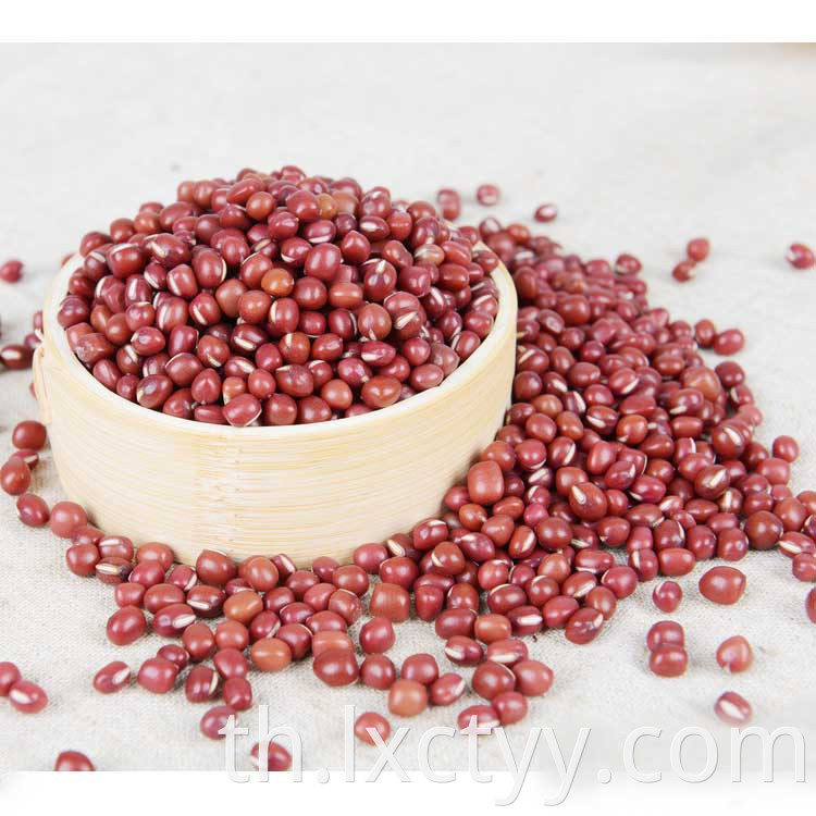 adzuki beans health tea